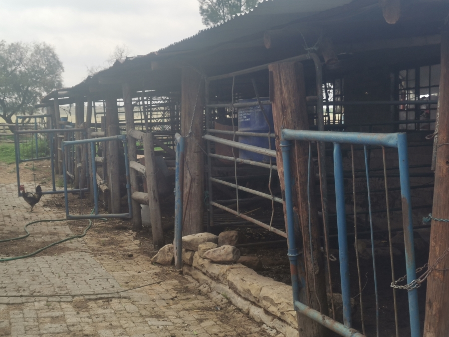 5 Bedroom Property for Sale in Senekal Rural Free State